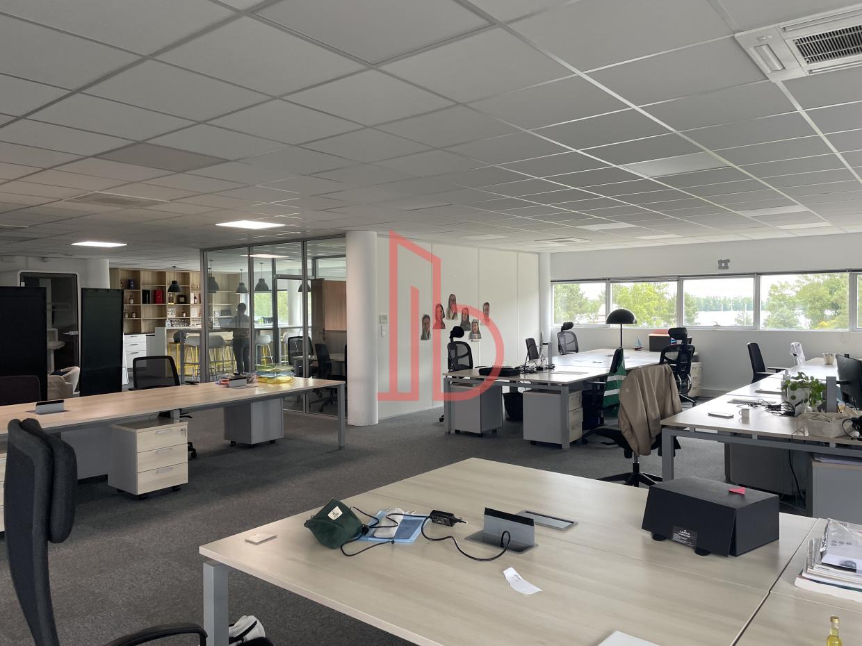 À louer Bureaux - Bruges 33520 - 313m²