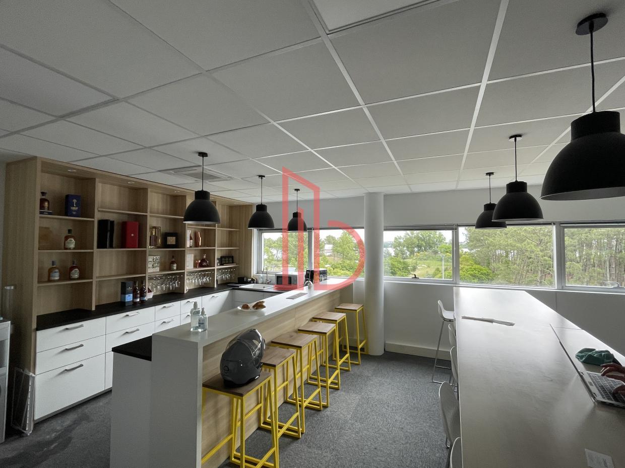 À louer Bureaux - Bruges 33520 - 313m²
