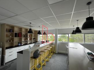 À louer Bureaux - Bruges 33520 - 313m²