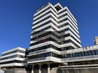 À louer Bureaux - Bordeaux 33000 - 660m²