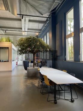 À louer Bureaux - Bègles 33130 - 477m²